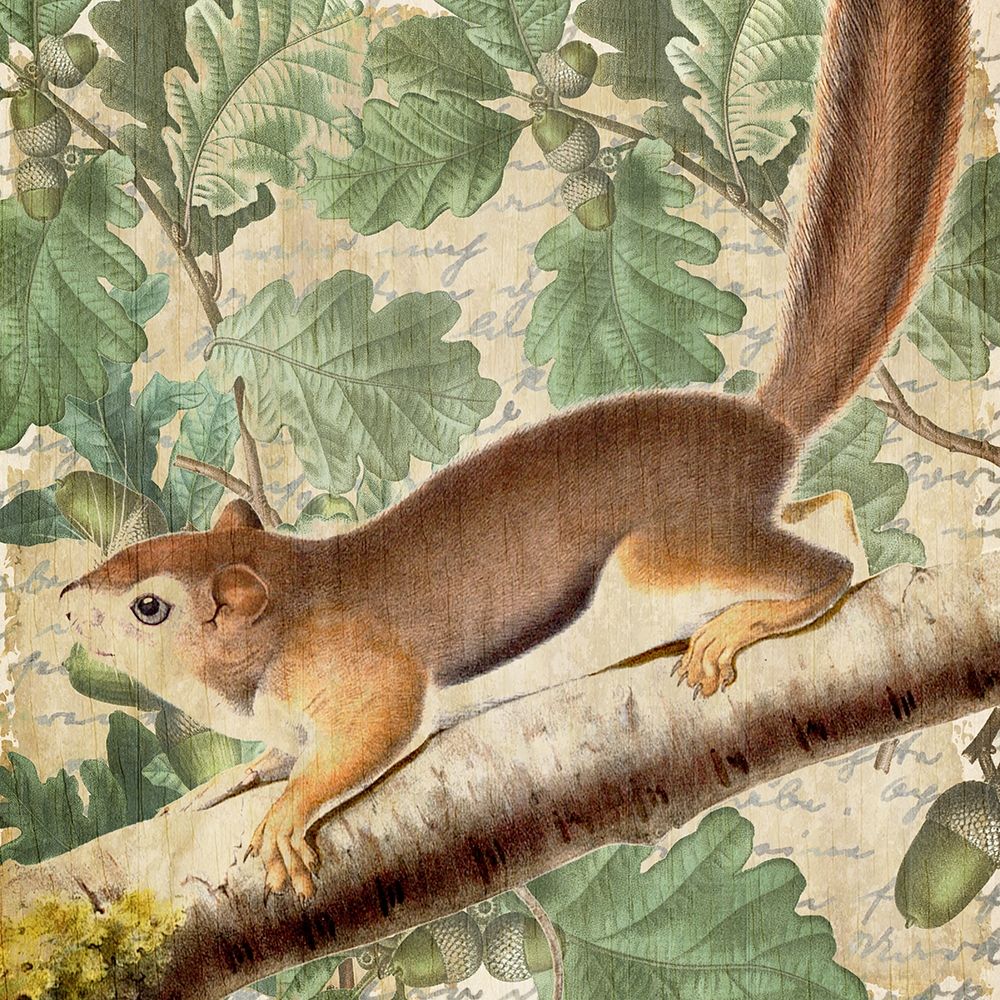 Chipmunk Square 2 art print by Kimberly Allen for $57.95 CAD