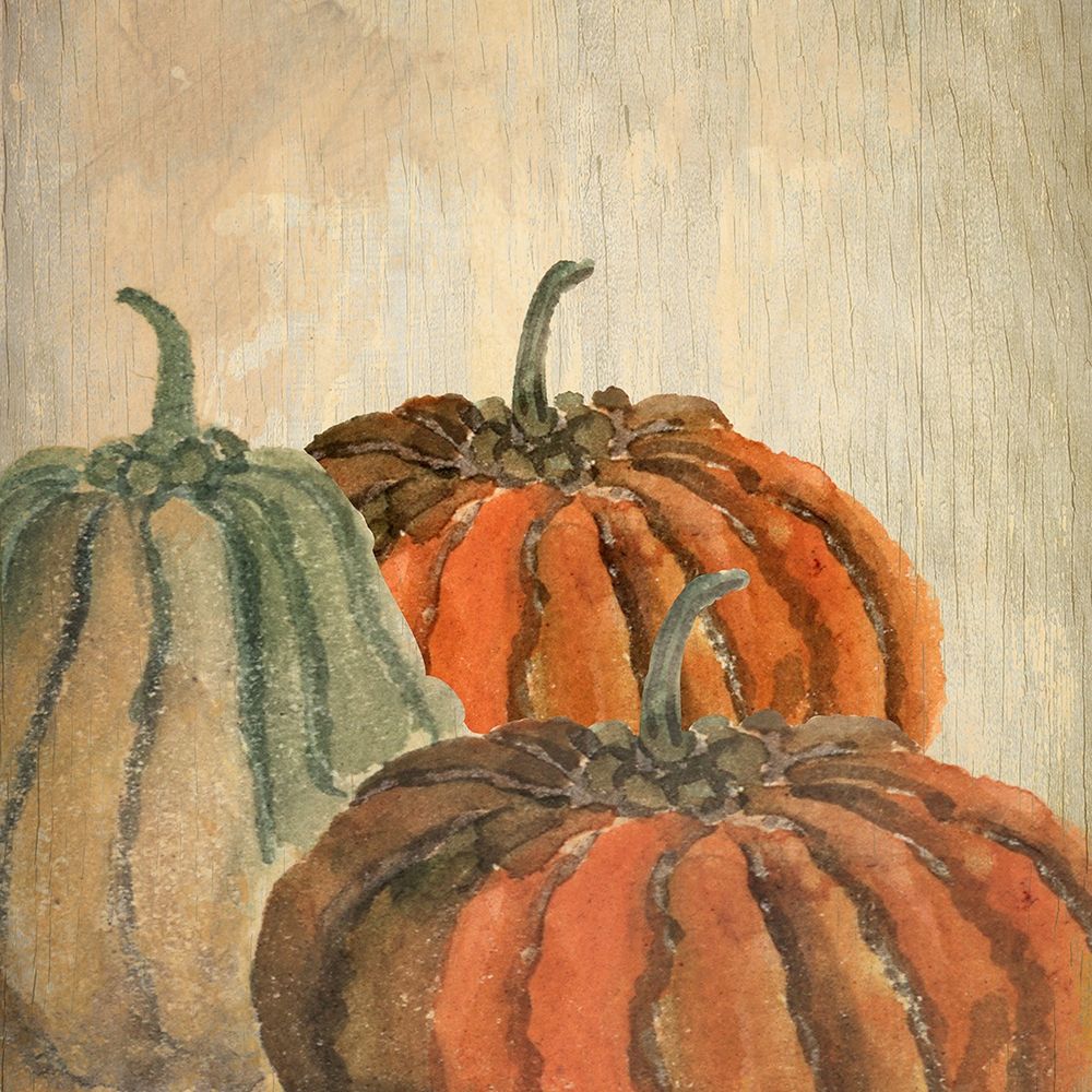 Fall Pumpkins art print by Kimberly Allen for $57.95 CAD