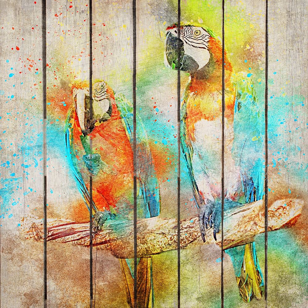 Two of a Kind art print by Kimberly Allen for $57.95 CAD