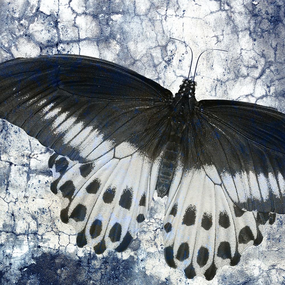 Butterfly Blues 2 art print by Kimberly Allen for $57.95 CAD