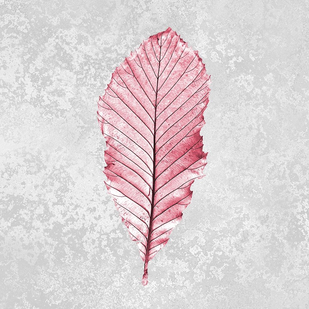 Pink Leaf 2 art print by Kimberly Allen for $57.95 CAD