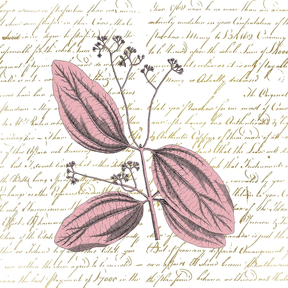 English Blush 1 art print by Kimberly Allen for $57.95 CAD