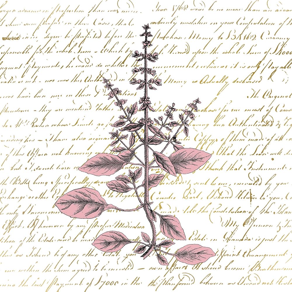 English Blush 3 art print by Kimberly Allen for $57.95 CAD