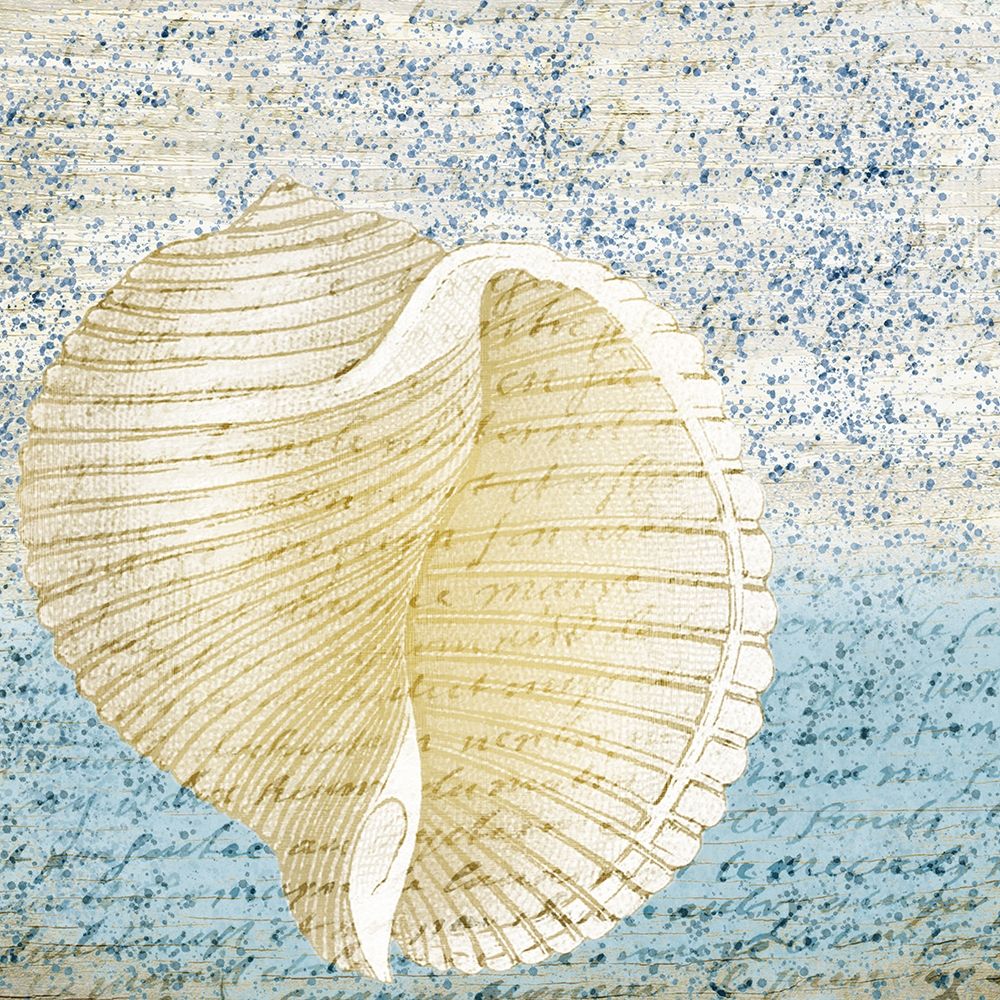 Spotted Shell 1 art print by Kimberly Allen for $57.95 CAD