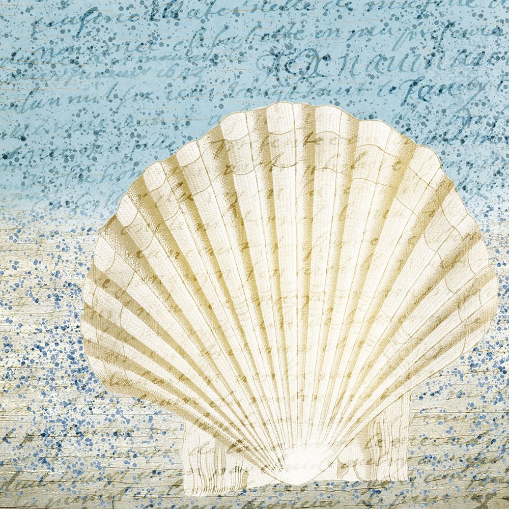 Spotted Shell 2 art print by Kimberly Allen for $57.95 CAD
