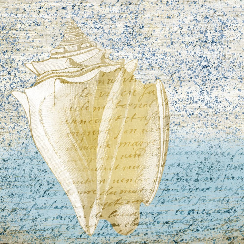 Spotted Shell 3 art print by Kimberly Allen for $57.95 CAD