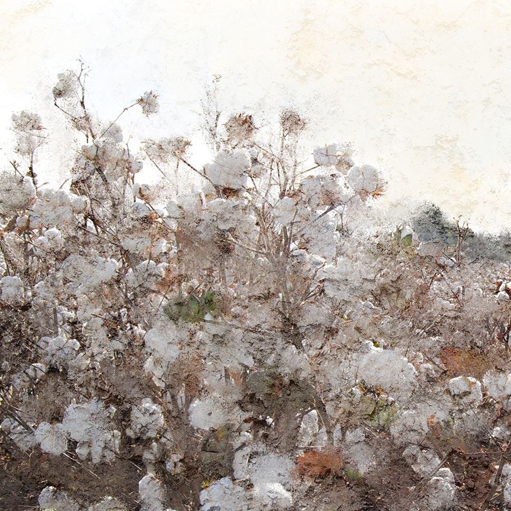 Cotton Field 1 art print by Kimberly Allen for $57.95 CAD