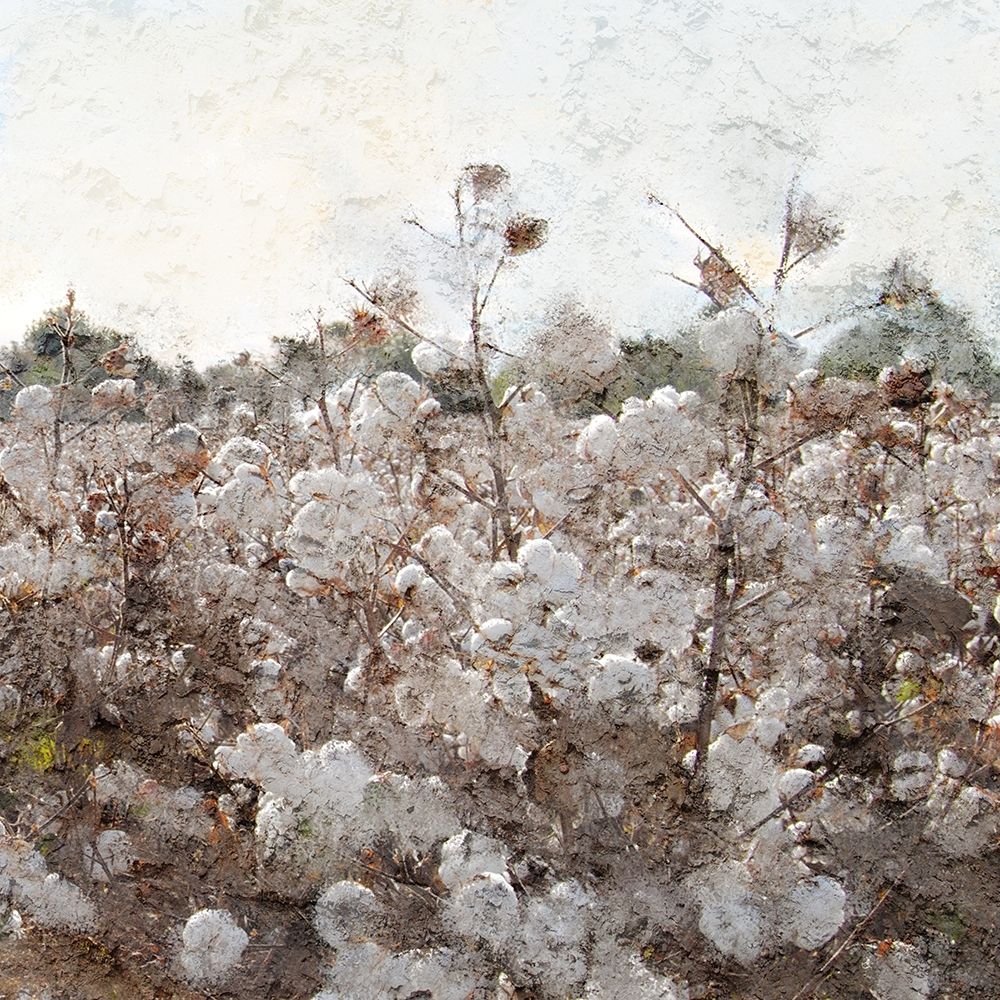 Cotton Field 2 art print by Kimberly Allen for $57.95 CAD