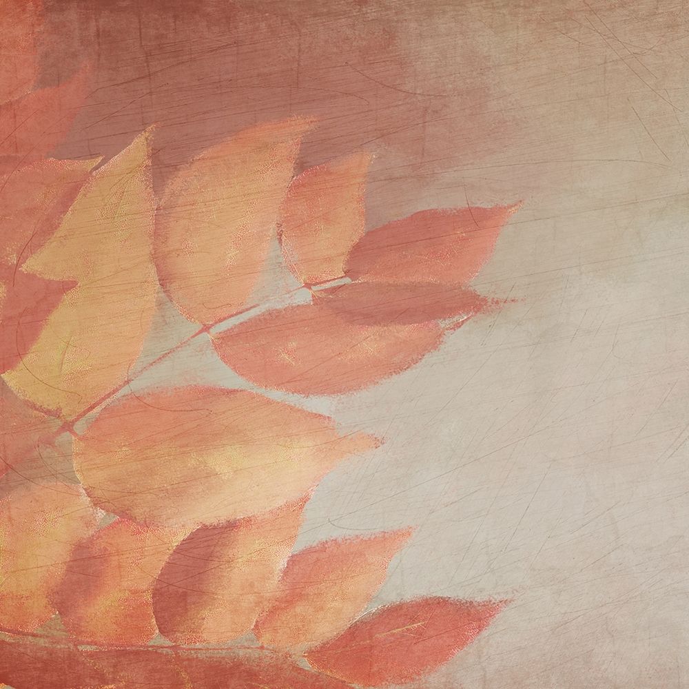 Fall Colors 1 art print by Kimberly Allen for $57.95 CAD