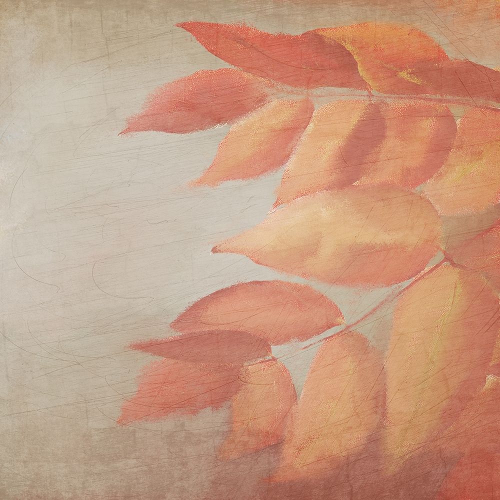 Fall Colors 2 art print by Kimberly Allen for $57.95 CAD