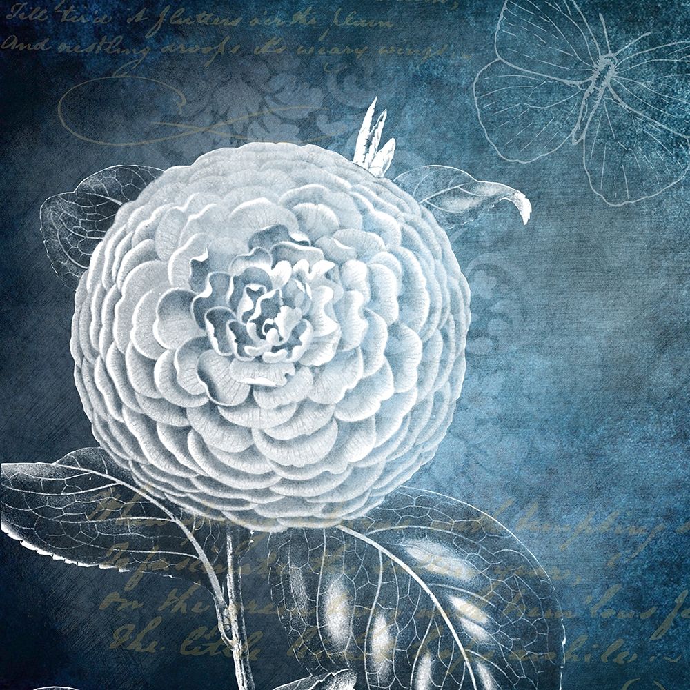 White Bloom 1 art print by Kimberly Allen for $57.95 CAD