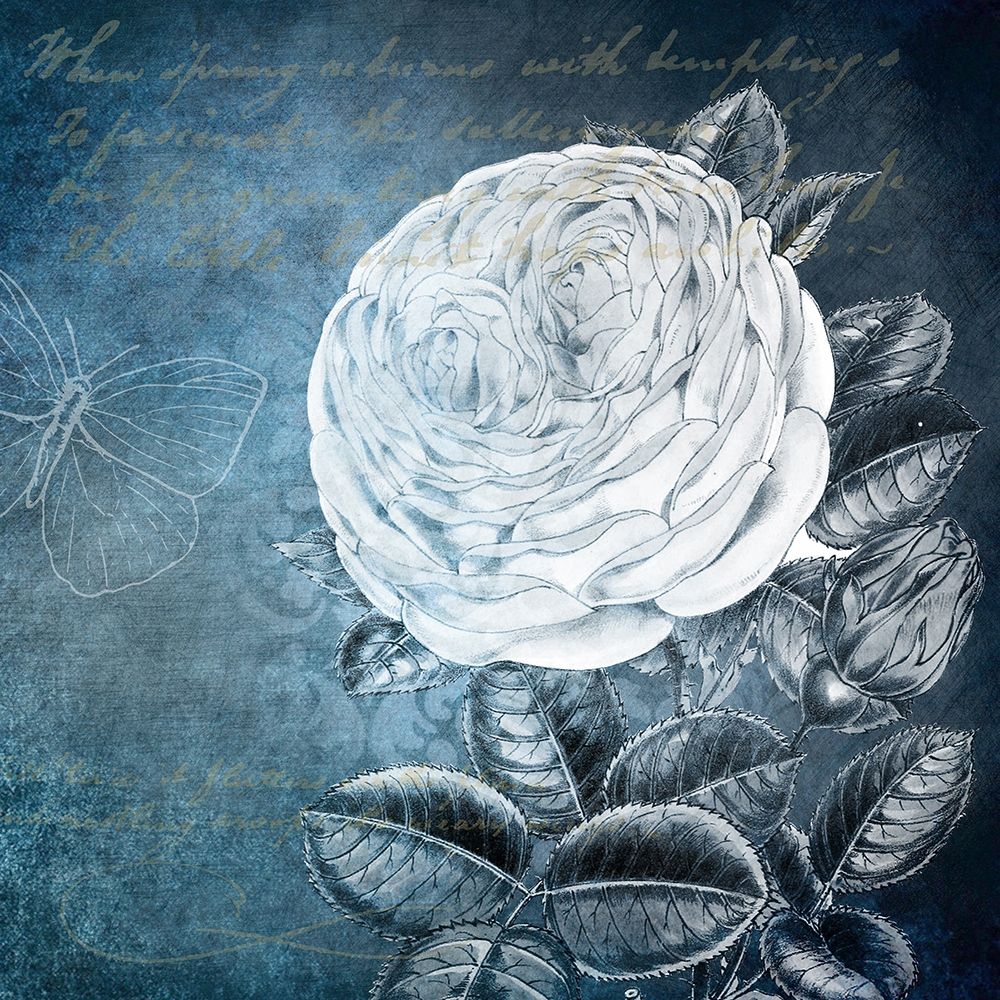 White Bloom 2 art print by Kimberly Allen for $57.95 CAD