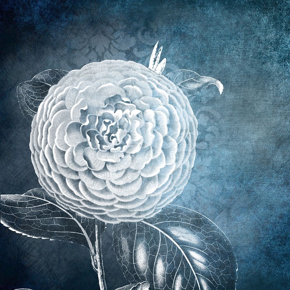 White Bloom 1 art print by Kimberly Allen for $57.95 CAD