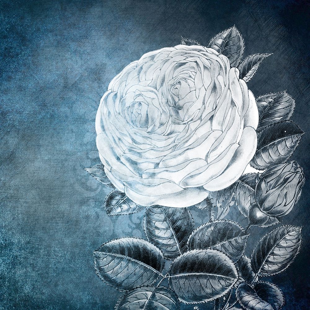 White Bloom 2 art print by Kimberly Allen for $57.95 CAD