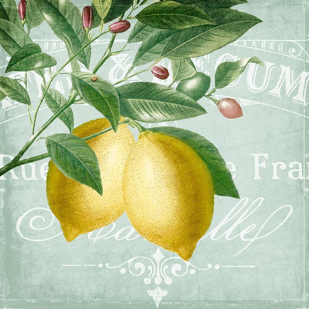 Lemon Drop 2 art print by Kimberly Allen for $57.95 CAD