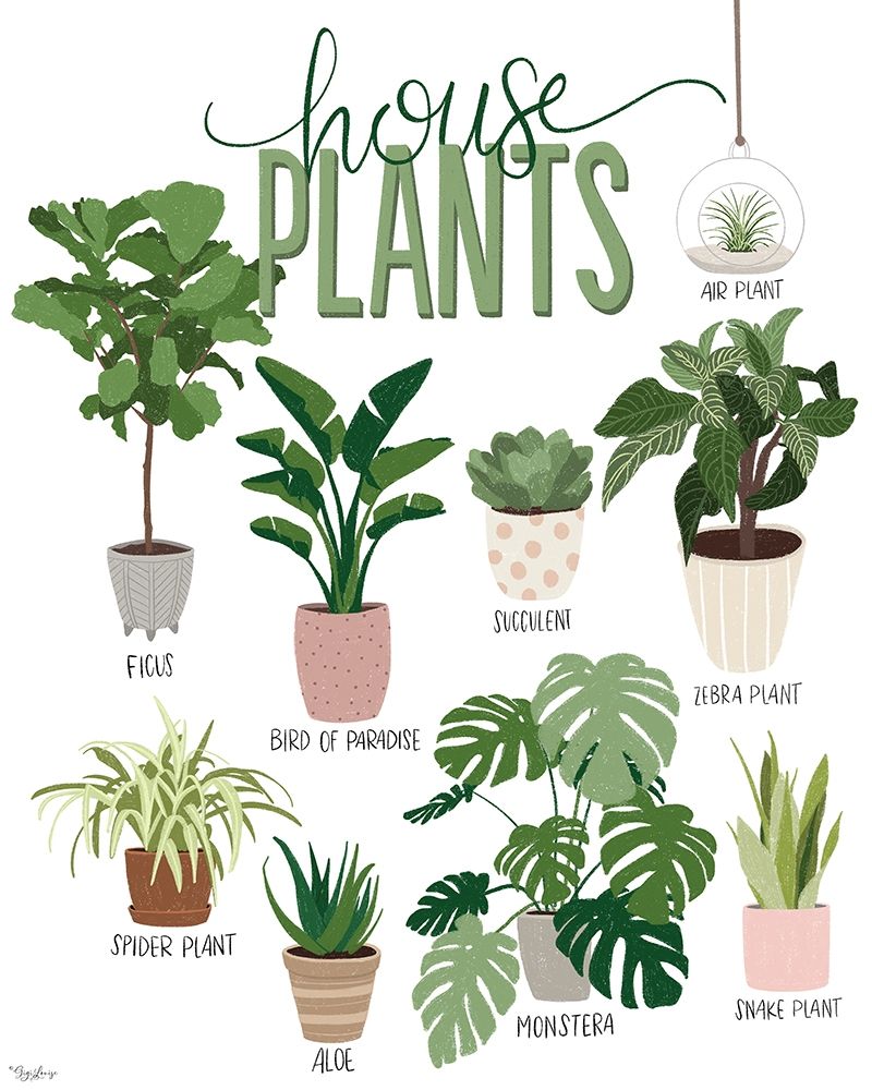 House Plants art print by Gigi Louise for $57.95 CAD