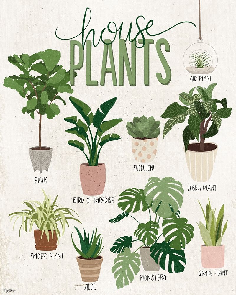 Vintage House Plants art print by Gigi Louise for $57.95 CAD