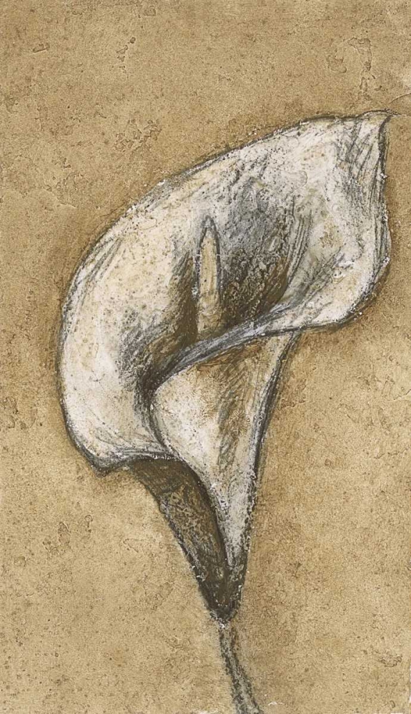 Lily I art print by Kristin Emery for $57.95 CAD
