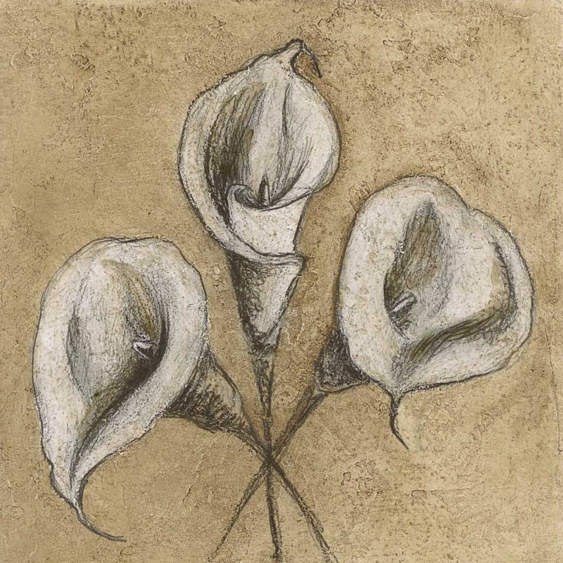 Calla Lily IV art print by Kristin Emery for $57.95 CAD
