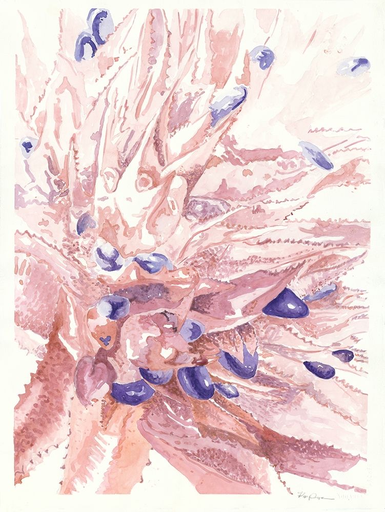 Cactus Bloom art print by Kim Rupe for $57.95 CAD
