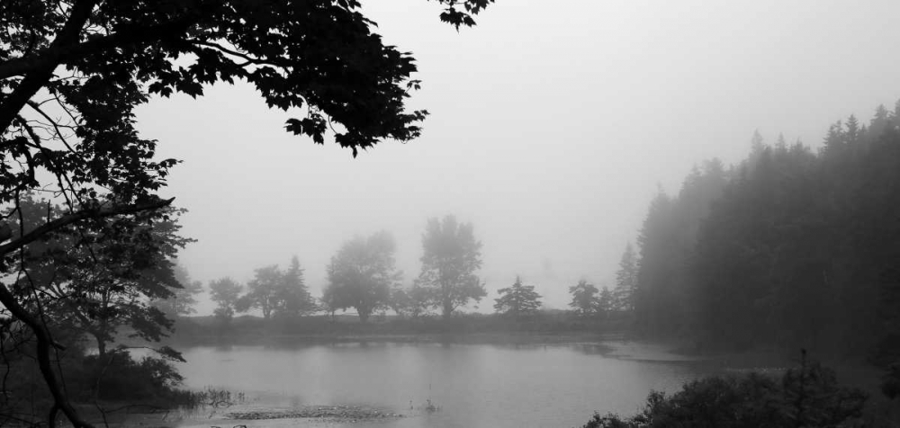 Across The Lake 1 art print by Lisa Colberg for $57.95 CAD