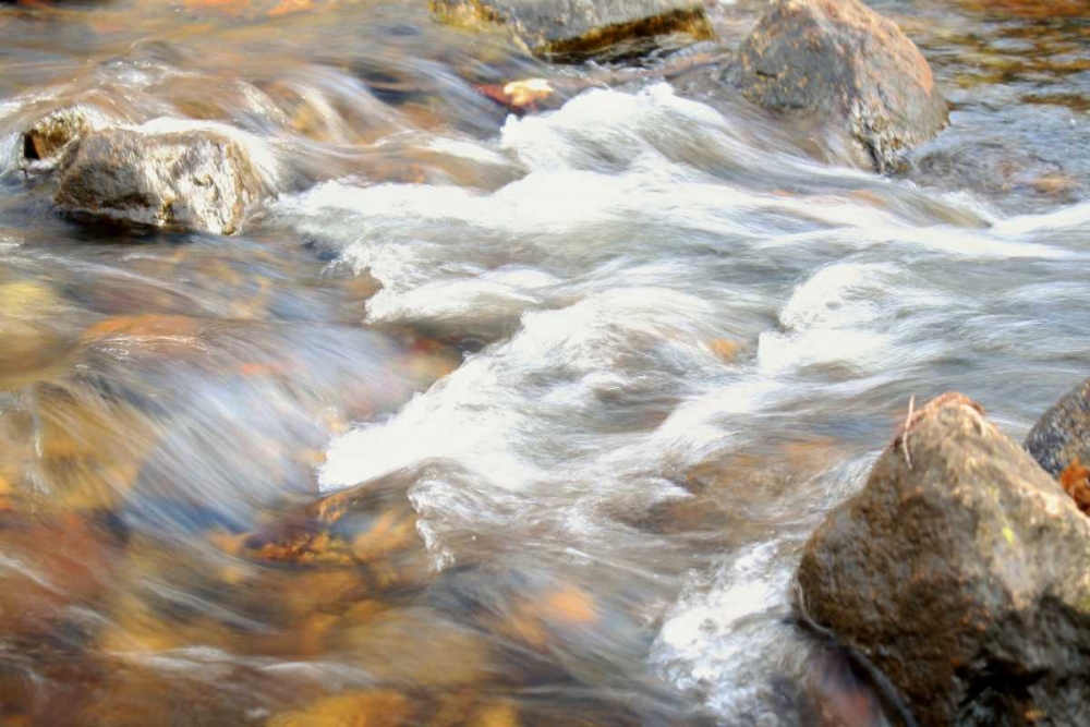 In Motion 2 art print by Jace Grey for $57.95 CAD