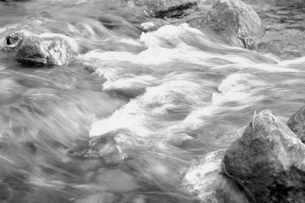 In Motion BW 2B art print by Jace Grey for $57.95 CAD
