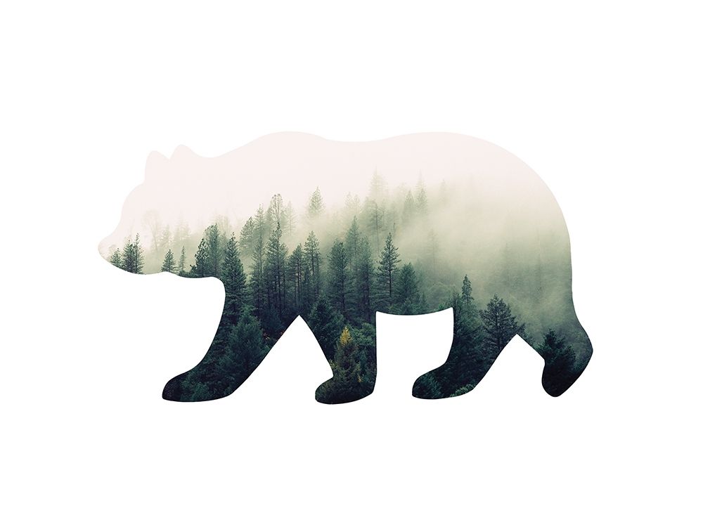Bear Silhouette 1 art print by Leslie McFarland for $57.95 CAD