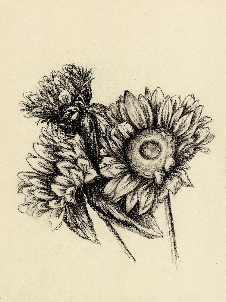 Sunflowers In Charcoal 1 V2 art print by Leah Noel Art for $57.95 CAD