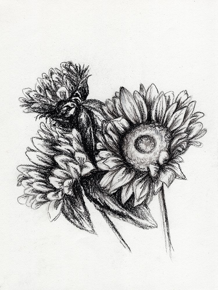 Sunflowers In Charcoal 1 art print by Leah Noel Art for $57.95 CAD