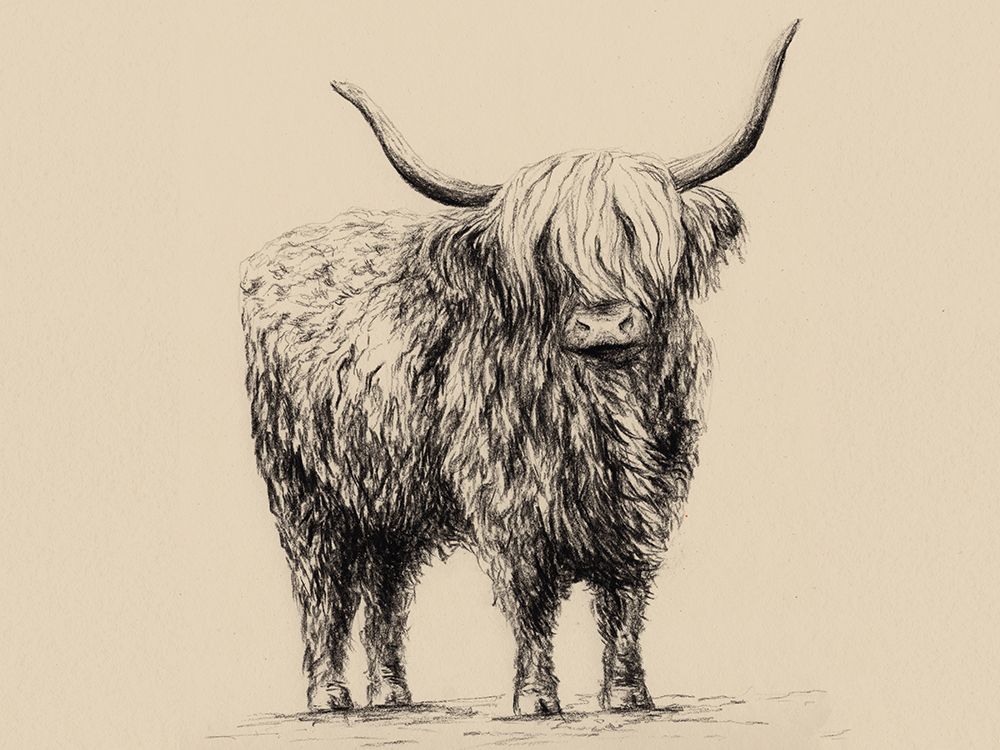 Highland Cow In Charcoal 1 V2 art print by Leah Noel Art for $57.95 CAD