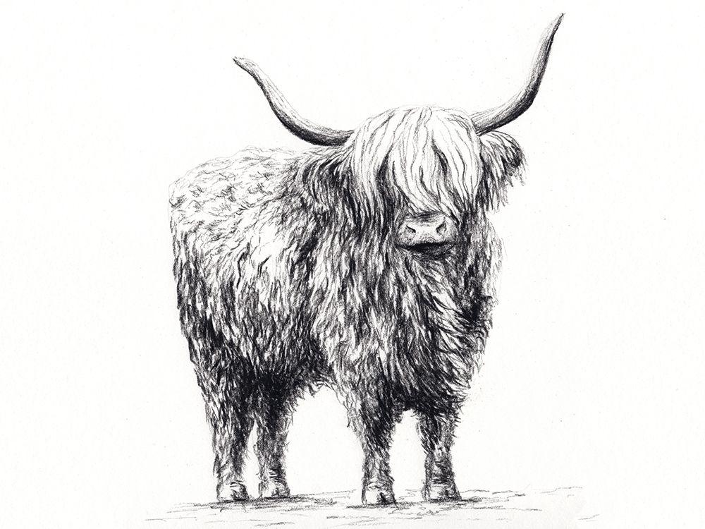 Highland Cow In Charcoal 1 art print by Leah Noel Art for $57.95 CAD