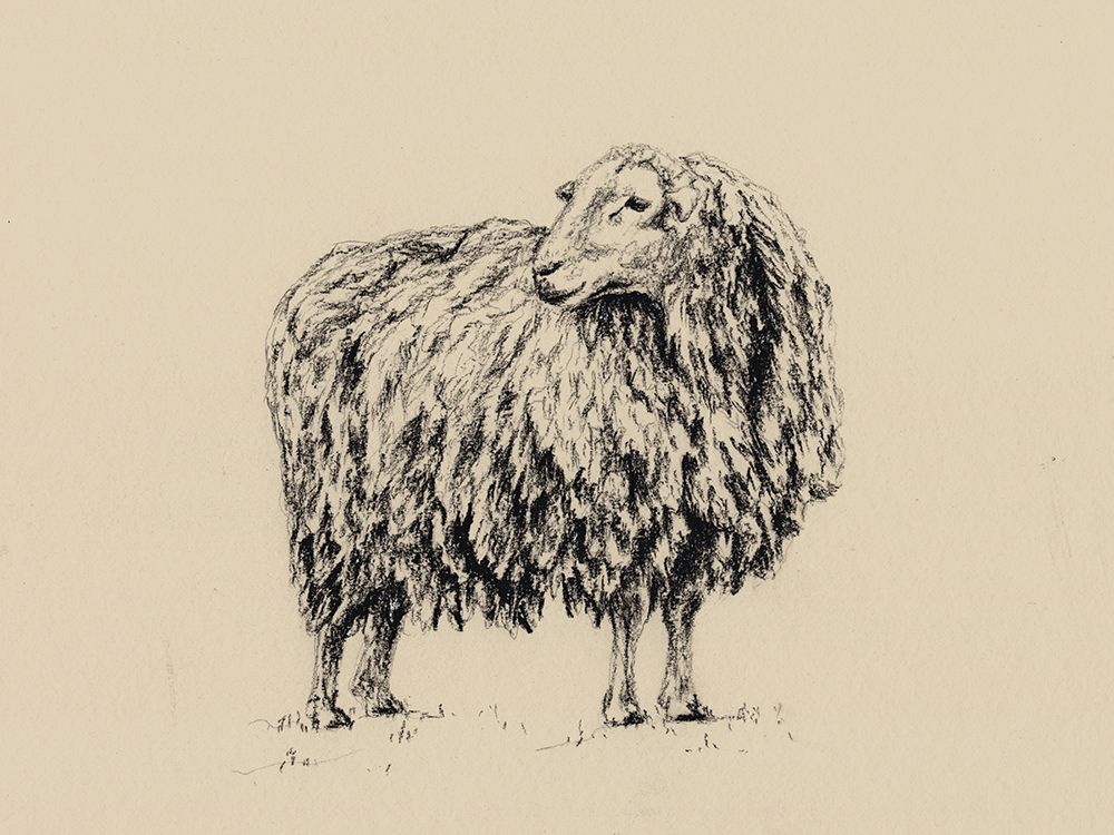 Sheep In Charcoal V2 art print by Leah Noel Art for $57.95 CAD