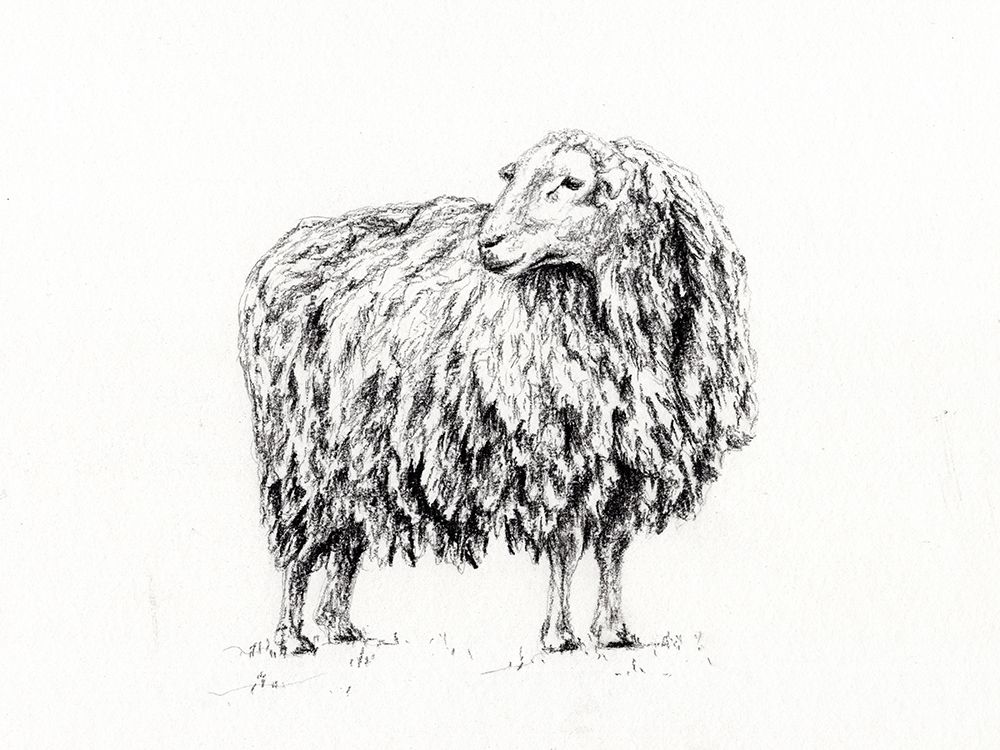 Sheep In Charcoal art print by Leah Noel Art for $57.95 CAD