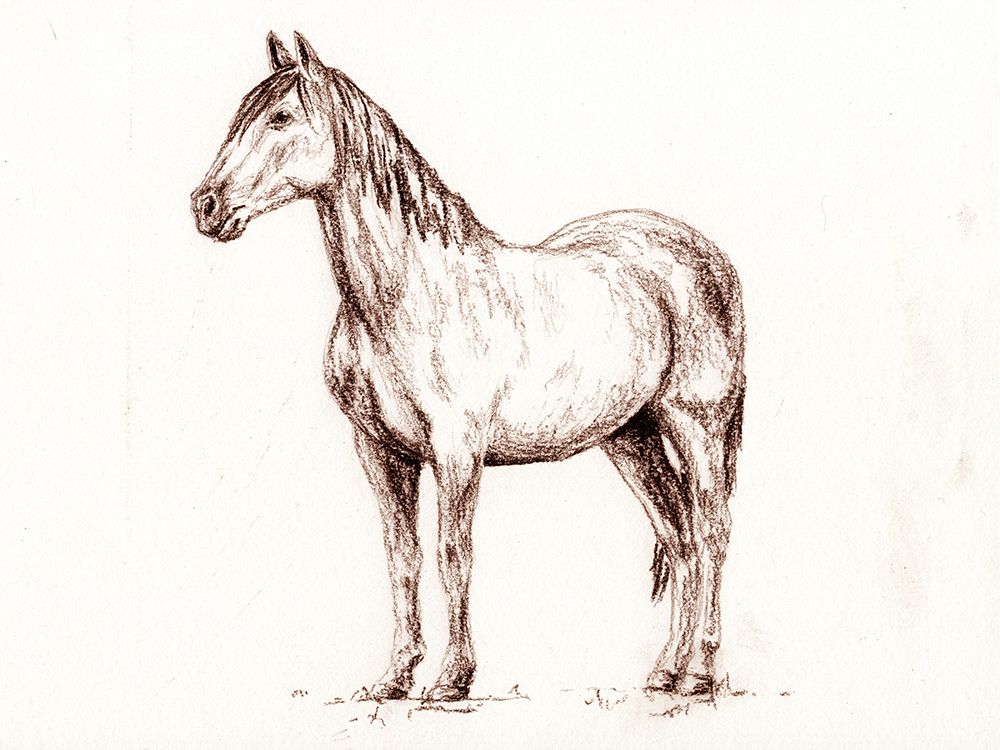 Horse art print by Leah Noel Art for $57.95 CAD