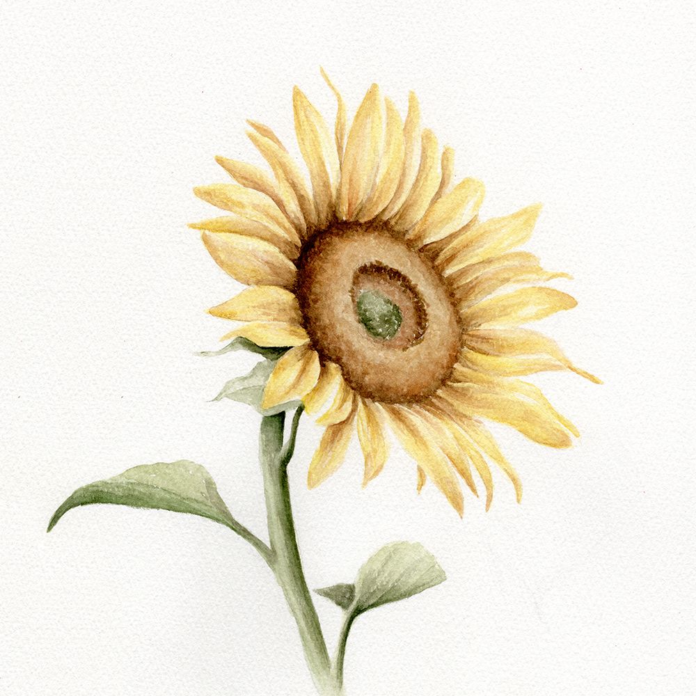 Sun Rays 1 art print by Leah Noel Art for $57.95 CAD