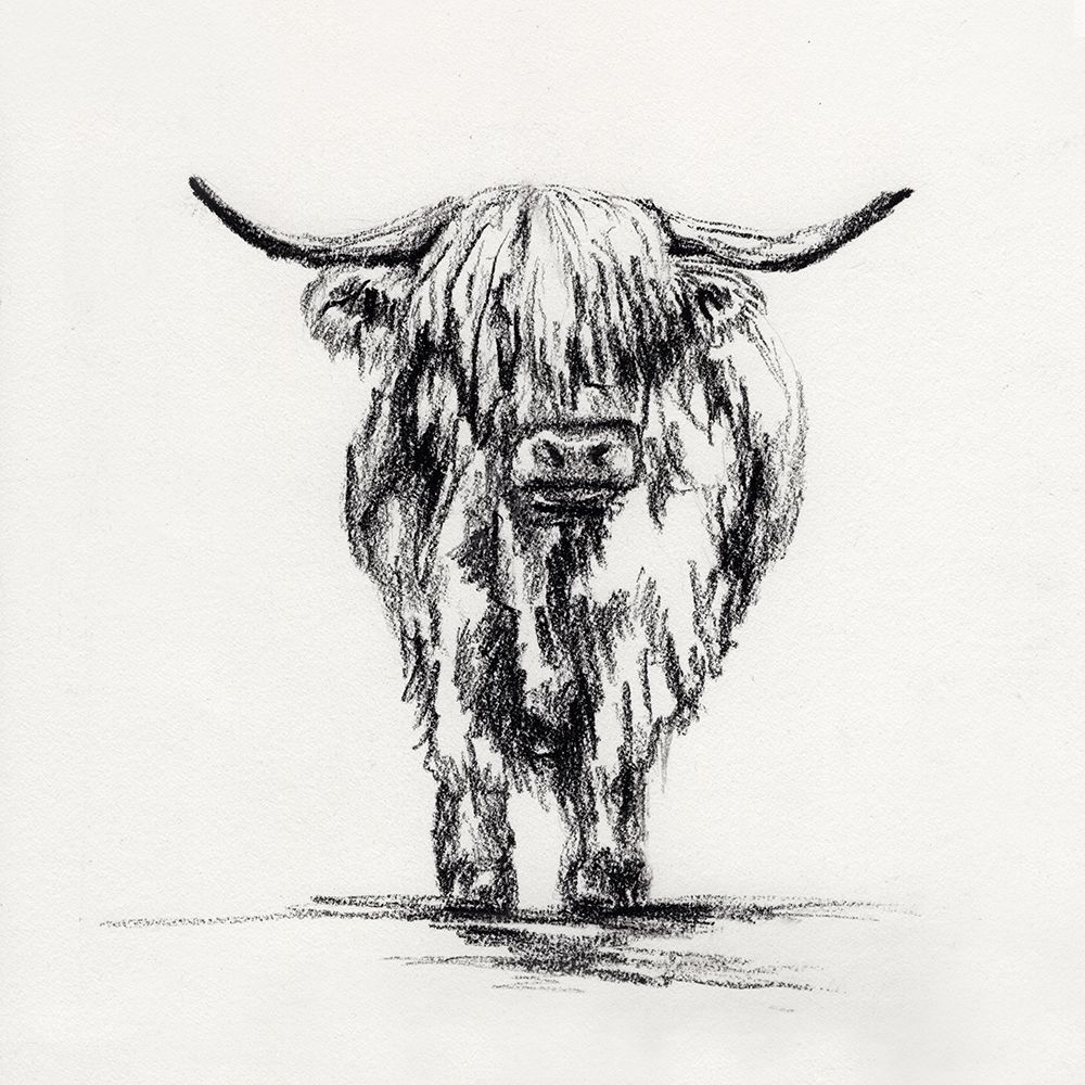 Highland Cow In Charcoal 2 art print by Leah Noel Art for $57.95 CAD