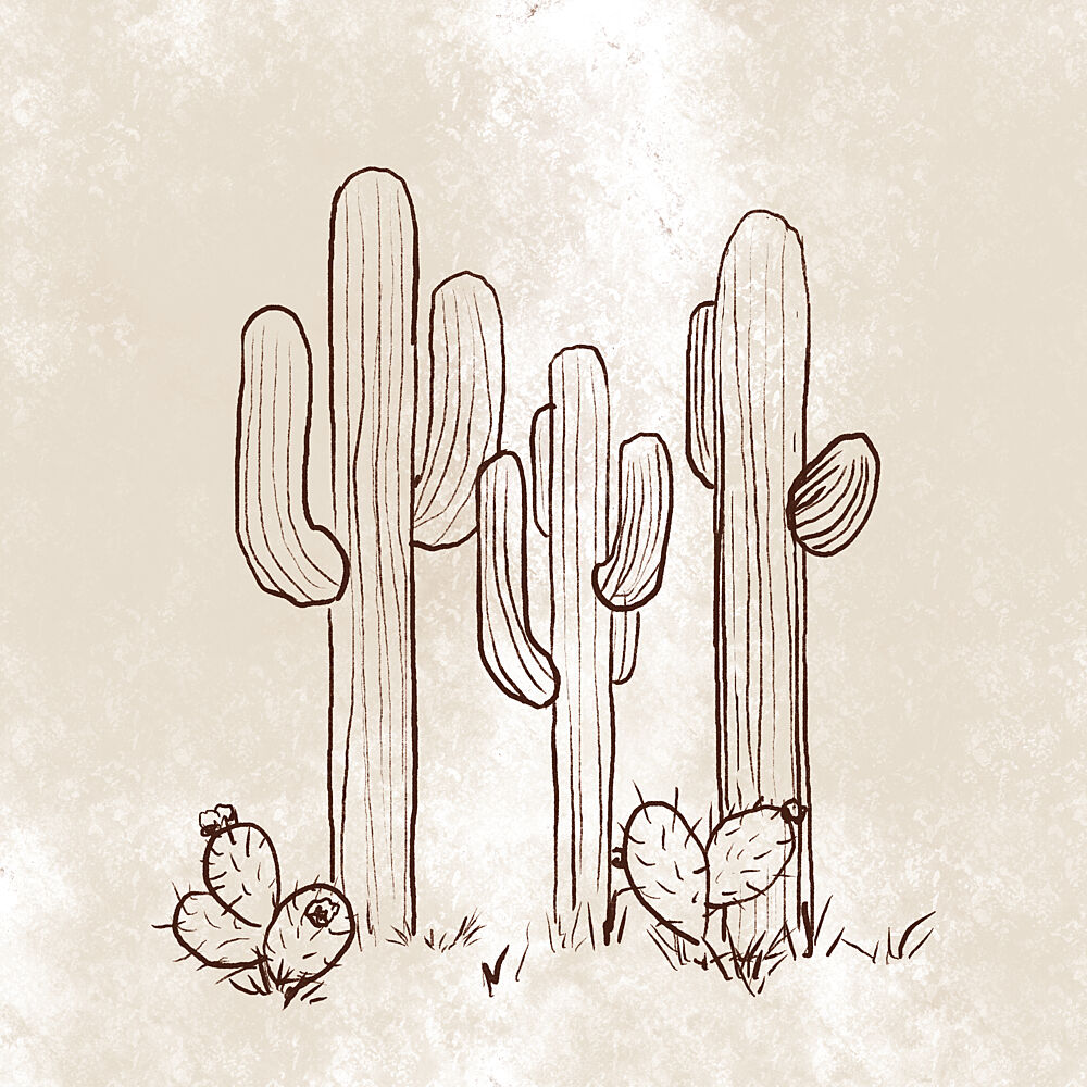 Three Cactus art print by Leah Noel Art for $57.95 CAD