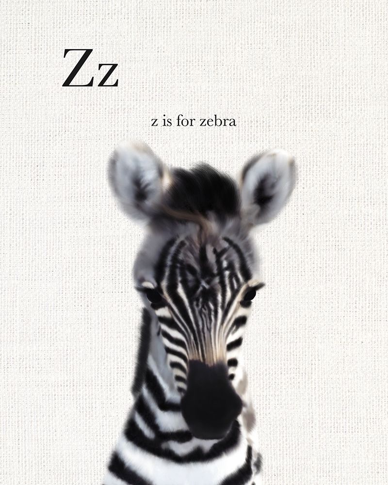 Baby Zebra Linen art print by Leah Straatsma for $57.95 CAD