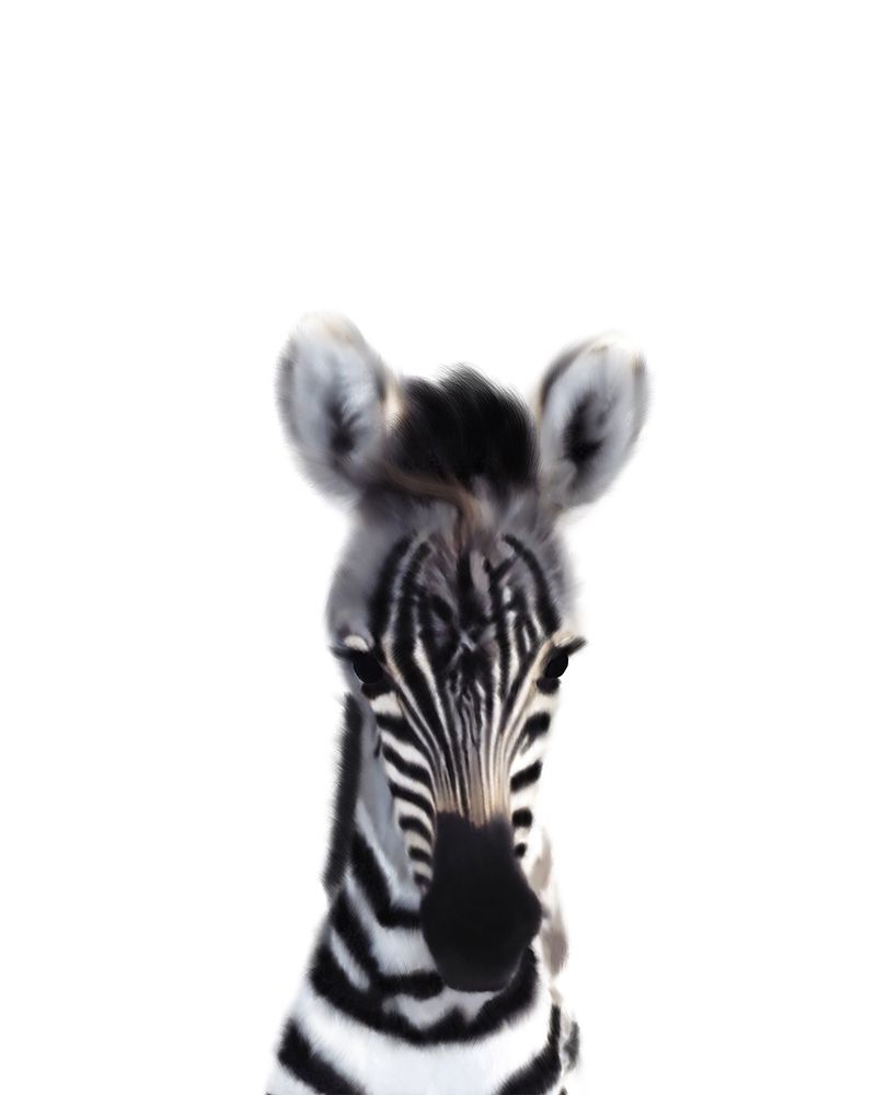 Baby Zebra art print by Leah Straatsma for $57.95 CAD
