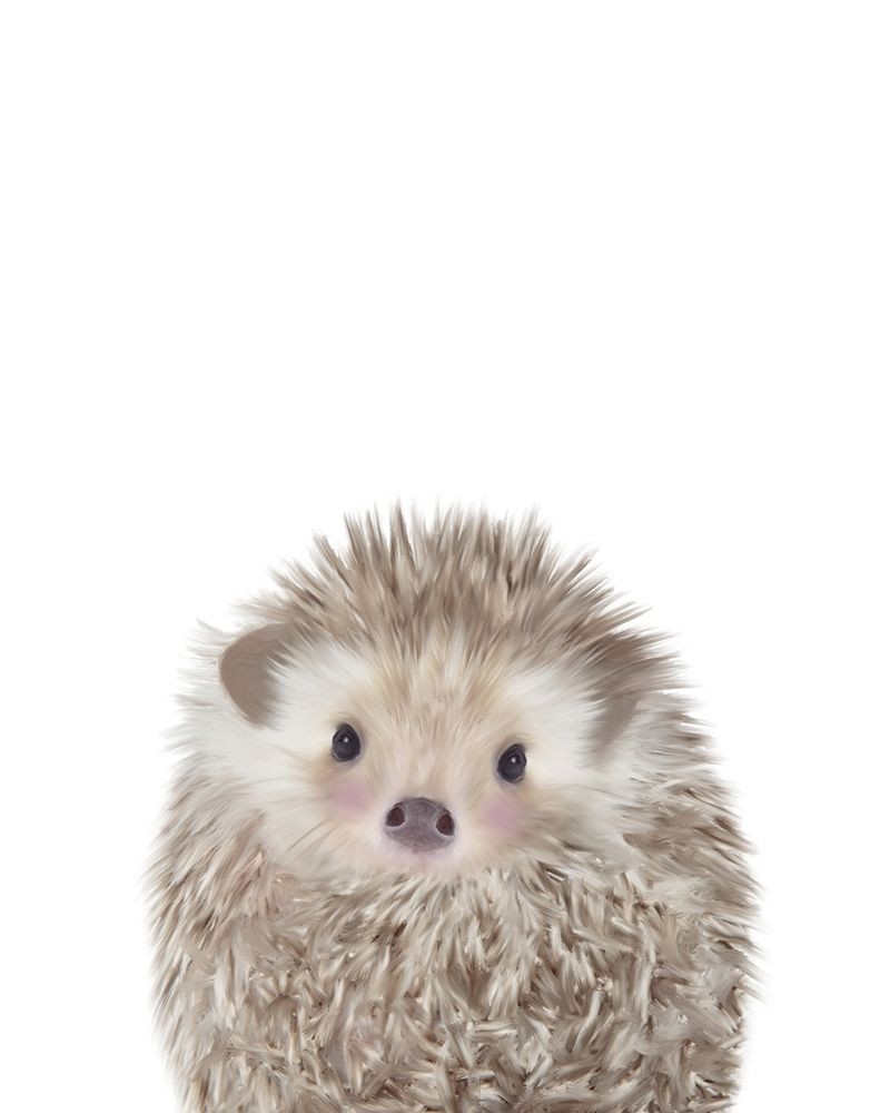 Hedgehog art print by Leah Straatsma for $57.95 CAD