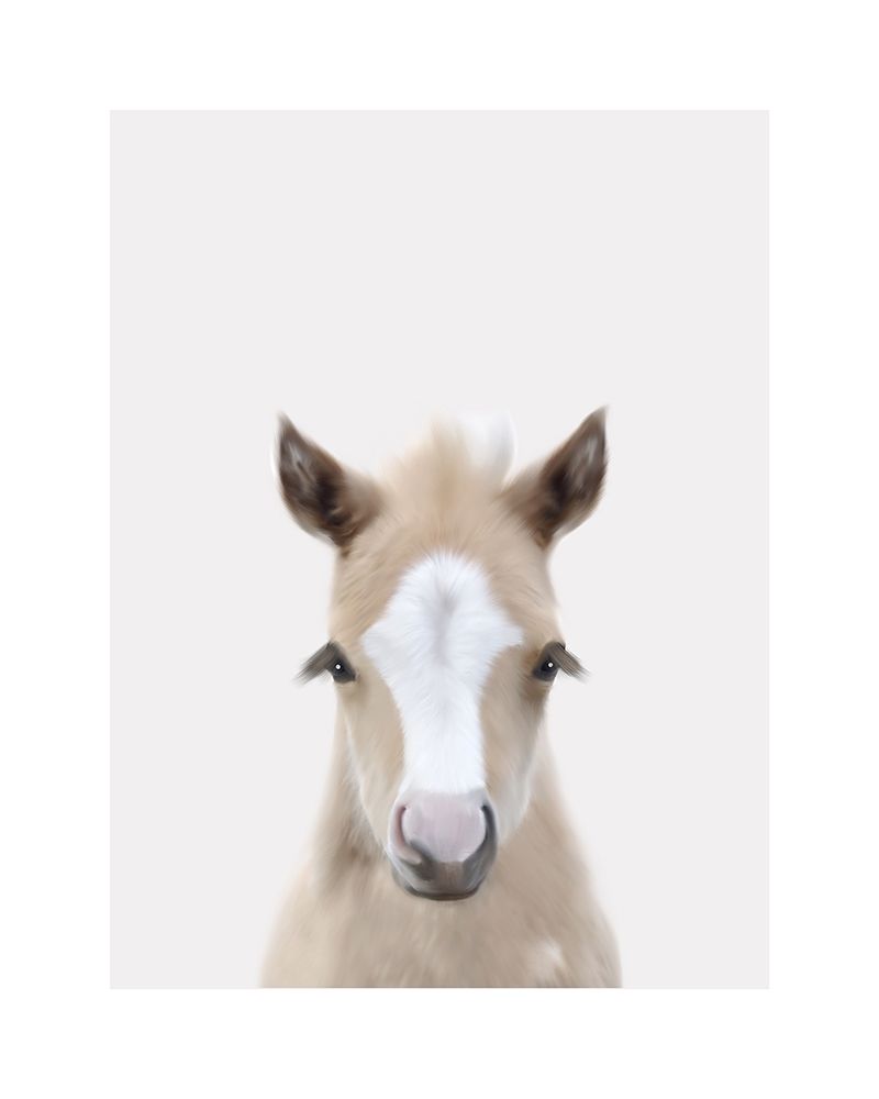 Baby Horse 1 art print by Leah Straatsma for $57.95 CAD
