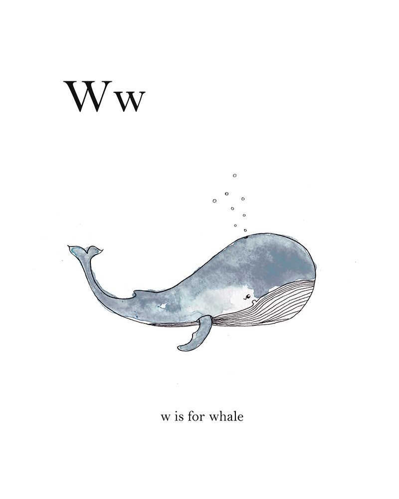 Ww Is For Whale art print by Leah Straatsma for $57.95 CAD