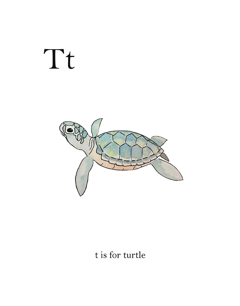 T is for Turtle art print by Leah Straatsma for $57.95 CAD