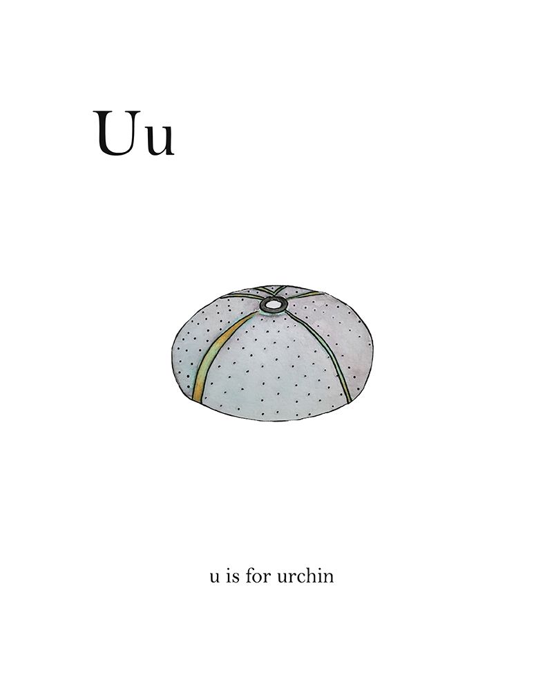 U is For Urchin art print by Leah Straatsma for $57.95 CAD