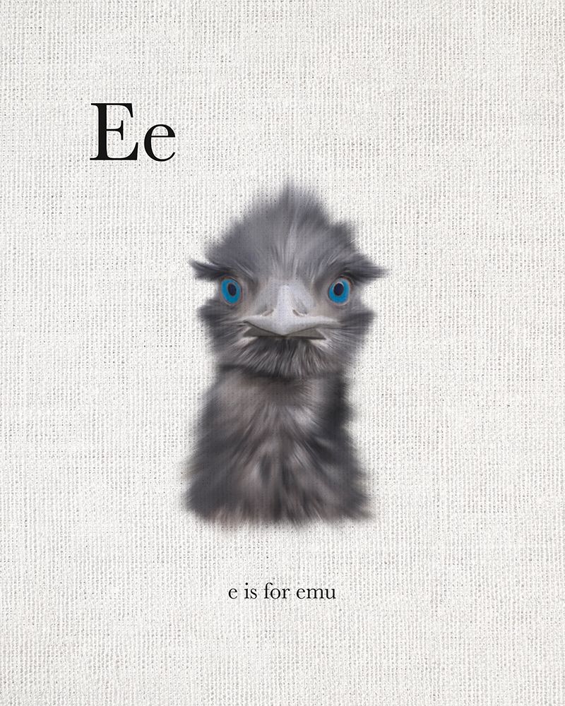 E is for Emu art print by Leah Straatsma for $57.95 CAD
