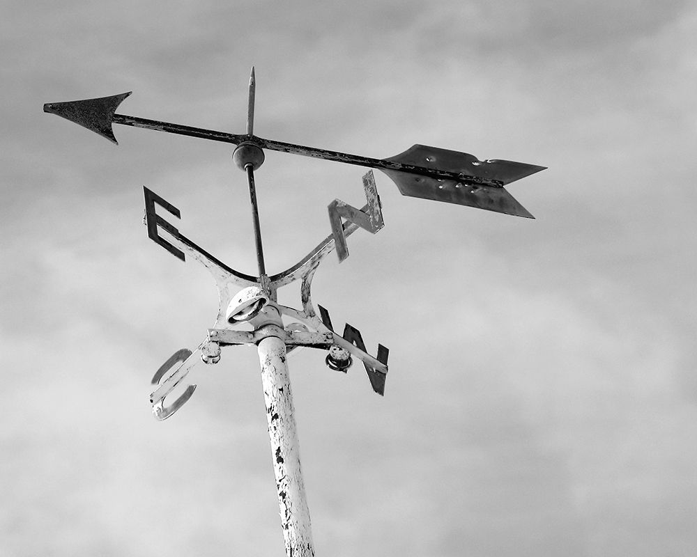 Weather Vane art print by Leah Straatsma for $57.95 CAD