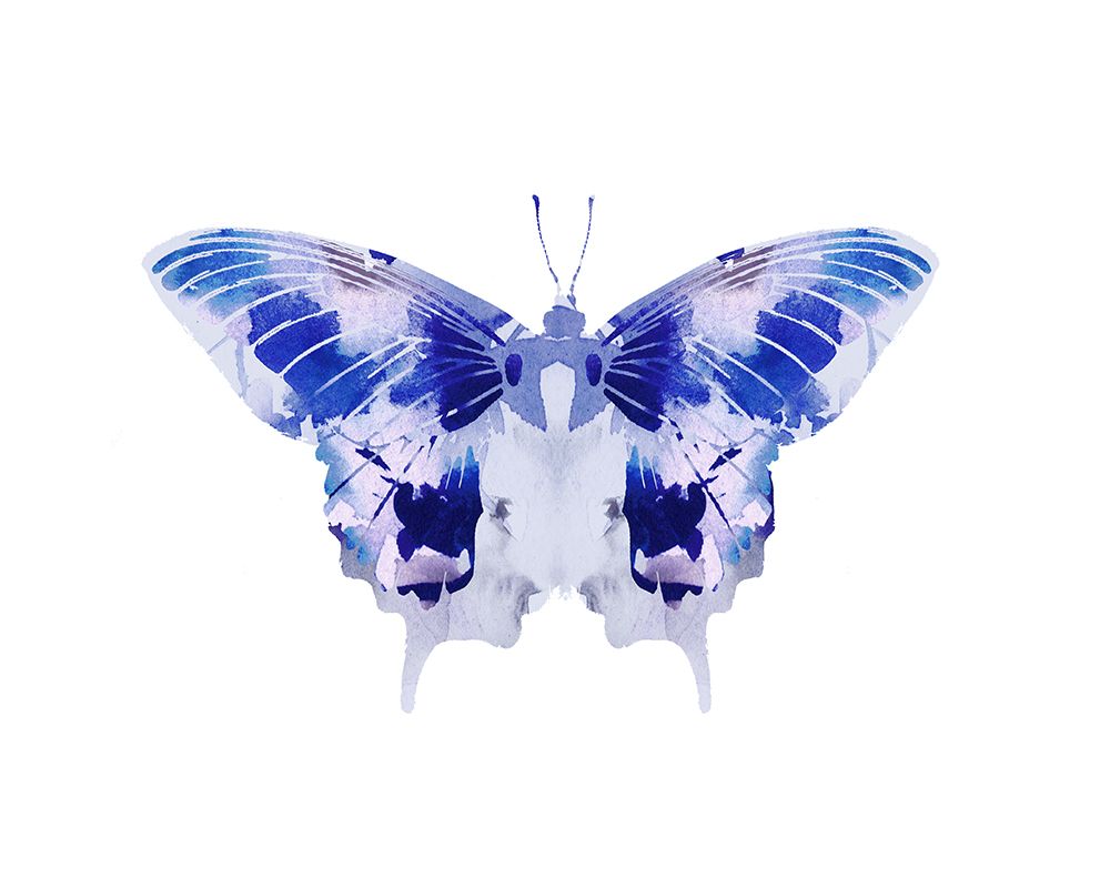 Saturated Butterfly 3 art print by Leah Straatsma for $57.95 CAD
