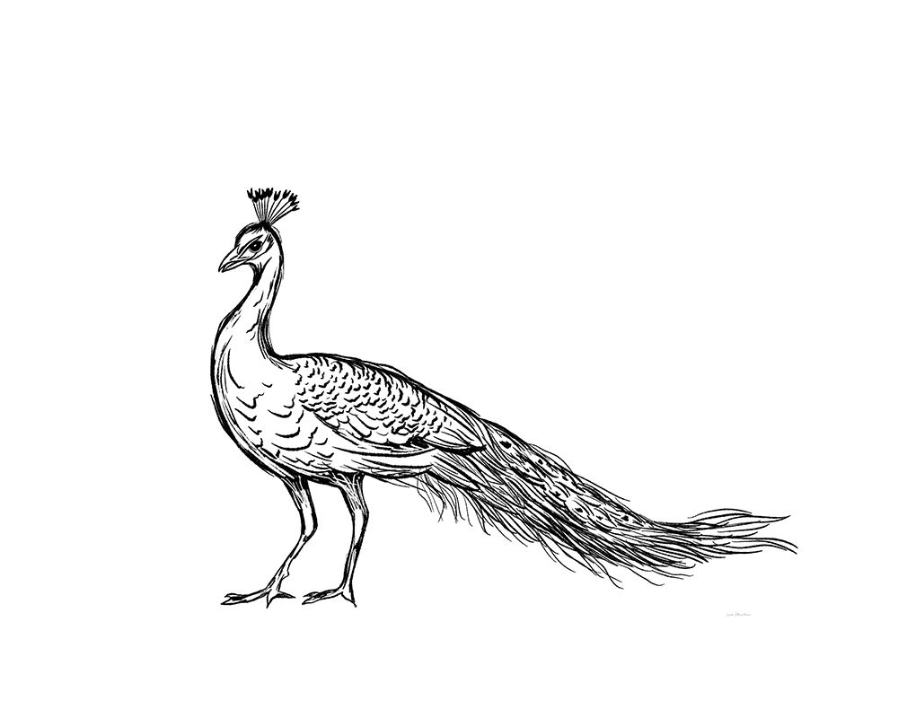 Black Peacock art print by Leah Straatsma for $57.95 CAD