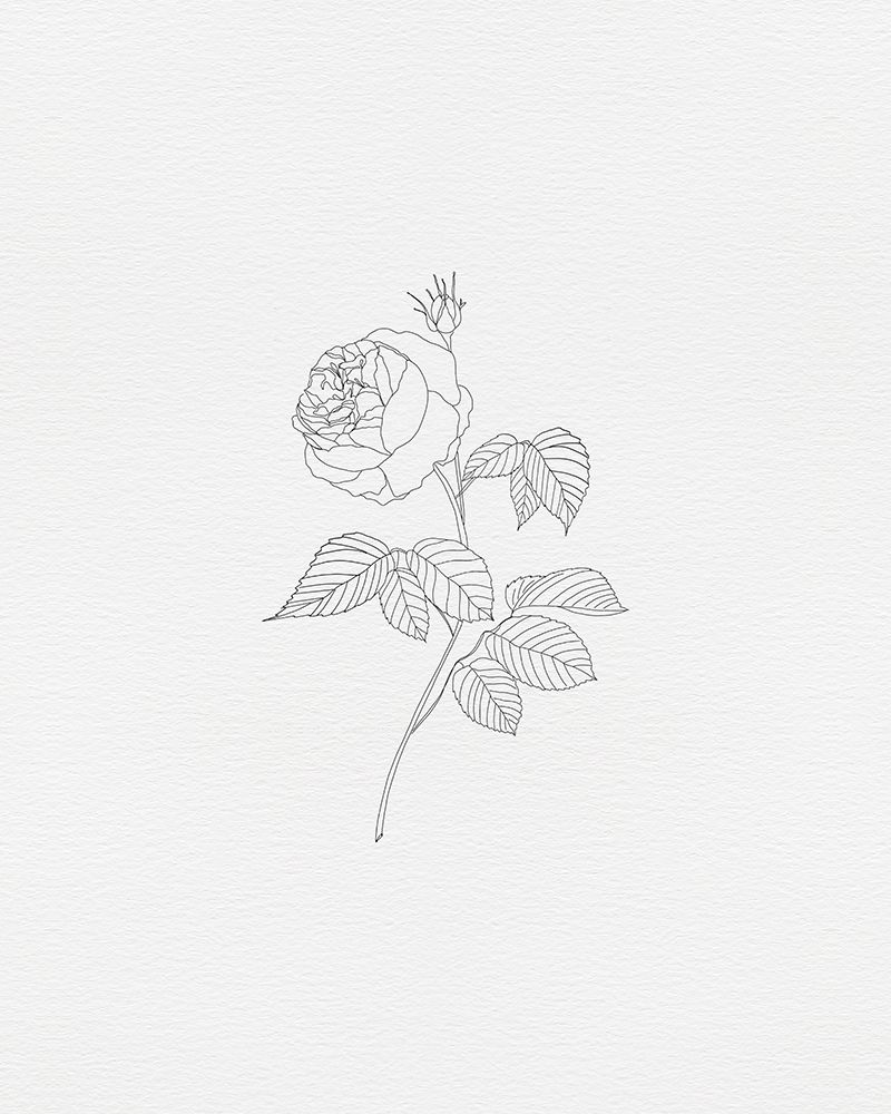 Black Rose 3 art print by Leah Straatsma for $57.95 CAD
